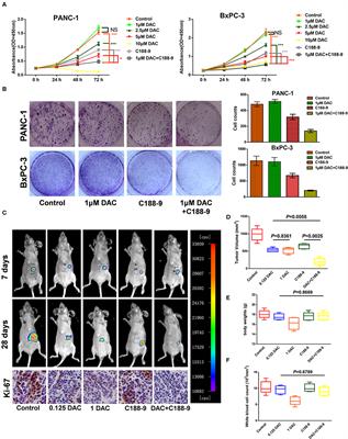 Small Molecule Inhibitor C188-9 Synergistically Enhances the Demethylated Activity of Low-Dose 5-Aza-2′-Deoxycytidine Against Pancreatic Cancer